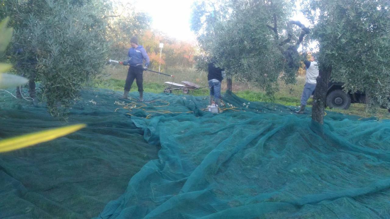 Baduerughe - Valledellago Poggio Mirteto Esterno foto